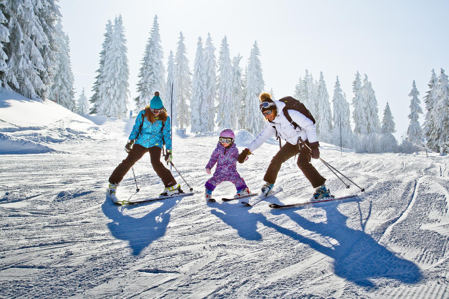 Winter Activities